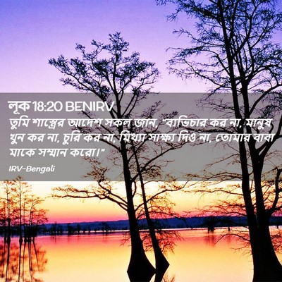 Picture 02 - লূক 18:20 BENIRV - তুমি শাস্ত্রের - Bible Verse Picture