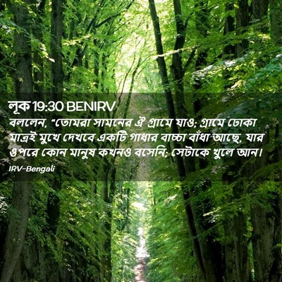 Picture 02 - লূক 19:30 BENIRV - বললেন, “তোমরা - Bible Verse Picture