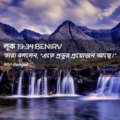 Picture 02 - লূক 19:34 BENIRV - তারা বললেন, “এতে - Bible Verse Picture