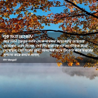 Picture 02 - লূক 19:37 BENIRV - আর তিনি জৈতুন - Bible Verse Picture