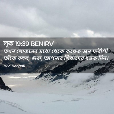 Picture 02 - লূক 19:39 BENIRV - তখন লোকদের মধ্যে - Bible Verse Picture