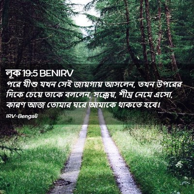 Picture 02 - লূক 19:5 BENIRV - পরে যীশু যখন সেই - Bible Verse Picture