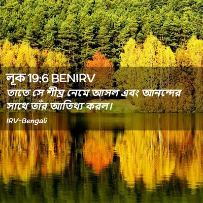 Picture 02 - লূক 19:6 BENIRV - তাতে সে শীঘ্র নেমে - Bible Verse Picture