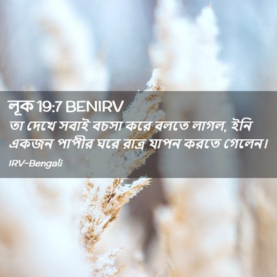 Picture 02 - লূক 19:7 BENIRV - তা দেখে সবাই বচসা - Bible Verse Picture