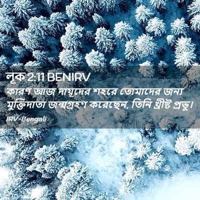 Picture 02 - লূক 2:11 BENIRV - কারণ আজ দায়ূদের - Bible Verse Picture