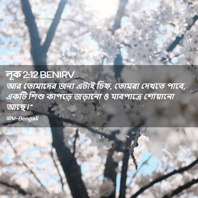 Picture 02 - লূক 2:12 BENIRV - আর তোমাদের জন্য - Bible Verse Picture