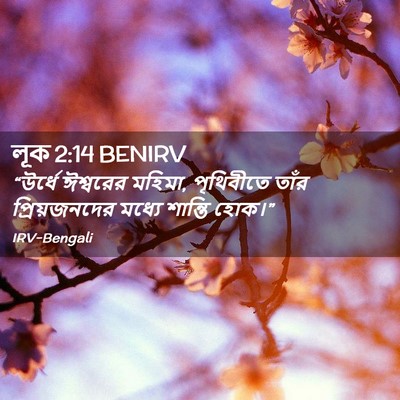 Picture 02 - লূক 2:14 BENIRV - “উর্ধে ঈশ্বরের - Bible Verse Picture