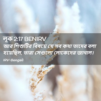 Picture 02 - লূক 2:17 BENIRV - আর শিশুটির বিষয়ে - Bible Verse Picture
