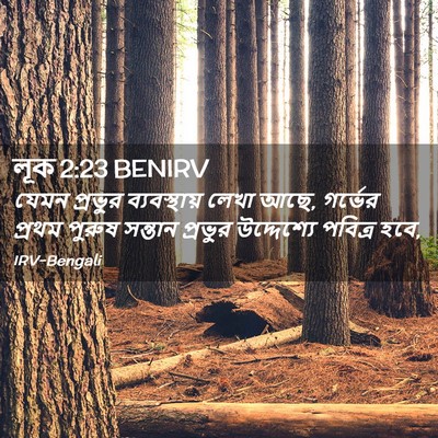 Picture 02 - লূক 2:23 BENIRV - যেমন প্রভুর - Bible Verse Picture