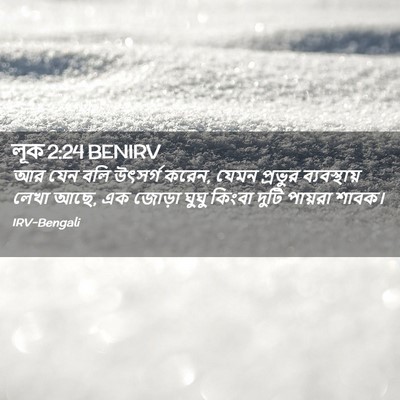 Picture 02 - লূক 2:24 BENIRV - আর যেন বলি উৎসর্গ - Bible Verse Picture