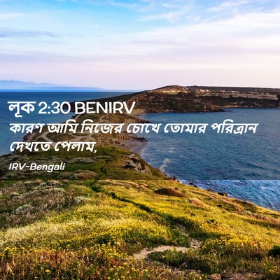 Picture 02 - লূক 2:30 BENIRV - কারণ আমি নিজের - Bible Verse Picture