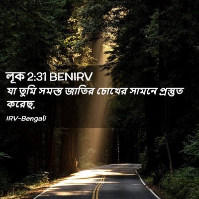Picture 02 - লূক 2:31 BENIRV - যা তুমি সমস্ত - Bible Verse Picture