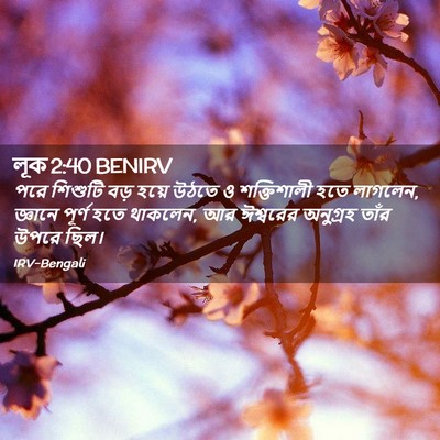 Picture 02 - লূক 2:40 BENIRV - পরে শিশুটি বড় - Bible Verse Picture