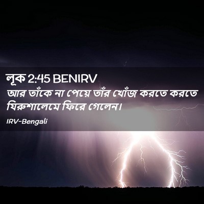 Picture 02 - লূক 2:45 BENIRV - আর তাঁকে না পেয়ে - Bible Verse Picture