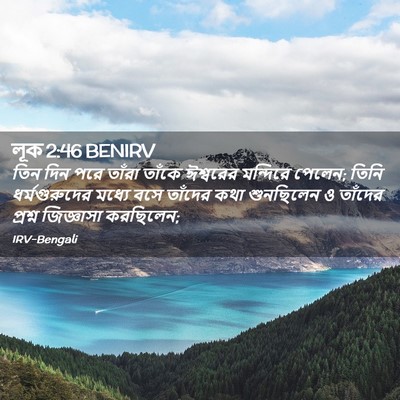 Picture 02 - লূক 2:46 BENIRV - তিন দিন পরে তাঁরা - Bible Verse Picture