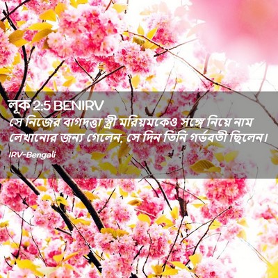 Picture 02 - লূক 2:5 BENIRV - সে নিজের বাগদত্তা - Bible Verse Picture