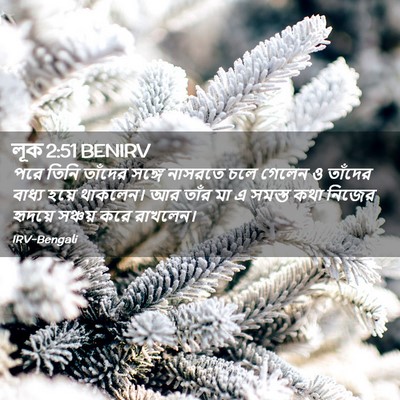 Picture 02 - লূক 2:51 BENIRV - পরে তিনি তাঁদের - Bible Verse Picture