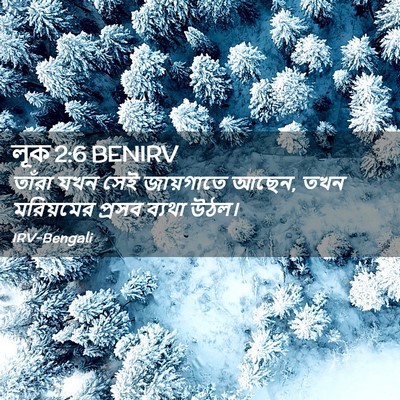 Picture 02 - লূক 2:6 BENIRV - তাঁরা যখন সেই - Bible Verse Picture