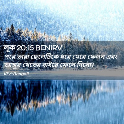 Picture 02 - লূক 20:15 BENIRV - পরে তারা ছেলেটিকে - Bible Verse Picture