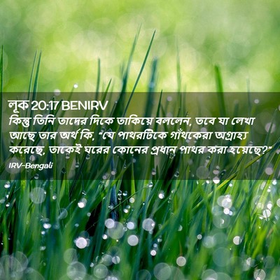 Picture 02 - লূক 20:17 BENIRV - কিন্তু তিনি তাদের - Bible Verse Picture