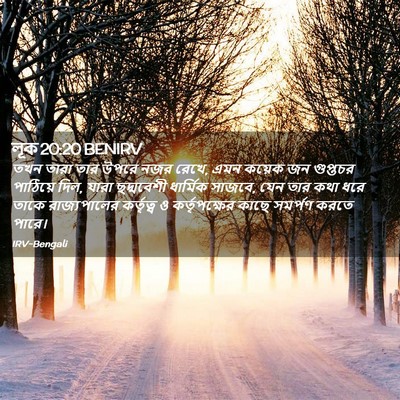 Picture 02 - লূক 20:20 BENIRV - তখন তারা তার উপরে - Bible Verse Picture