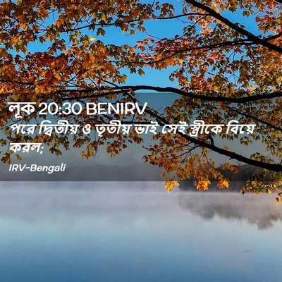 Picture 02 - লূক 20:30 BENIRV - পরে দ্বিতীয় ও - Bible Verse Picture