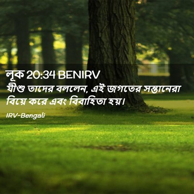 Picture 02 - লূক 20:34 BENIRV - যীশু তাদের বললেন, - Bible Verse Picture