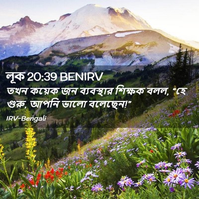 Picture 02 - লূক 20:39 BENIRV - তখন কয়েক জন - Bible Verse Picture