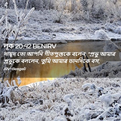 Picture 02 - লূক 20:42 BENIRV - দায়ূদ তো আপনি - Bible Verse Picture