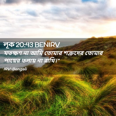 Picture 02 - লূক 20:43 BENIRV - যতক্ষণ না আমি - Bible Verse Picture