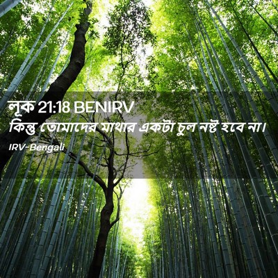 Picture 02 - লূক 21:18 BENIRV - কিন্তু তোমাদের - Bible Verse Picture
