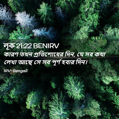 Picture 02 - লূক 21:22 BENIRV - কারণ তখন - Bible Verse Picture