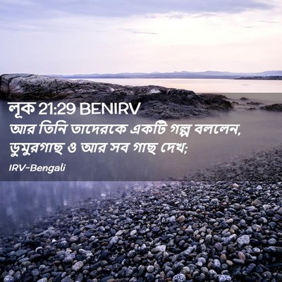 Picture 02 - লূক 21:29 BENIRV - আর তিনি তাদেরকে - Bible Verse Picture