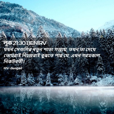 Picture 02 - লূক 21:30 BENIRV - যখন সেগুলির নতুন - Bible Verse Picture