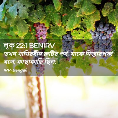 Picture 02 - লূক 22:1 BENIRV - তখন খামিরহীন - Bible Verse Picture