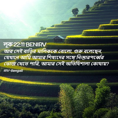 Picture 02 - লূক 22:11 BENIRV - আর সেই বাড়ির - Bible Verse Picture