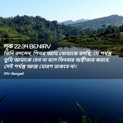 Picture 02 - লূক 22:34 BENIRV - তিনি বললেন, পিতর - Bible Verse Picture