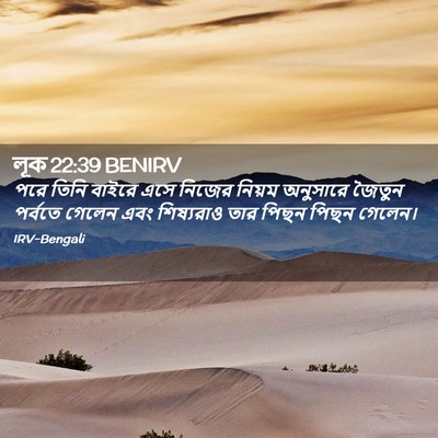 Picture 02 - লূক 22:39 BENIRV - পরে তিনি বাইরে এসে - Bible Verse Picture