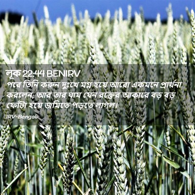 Picture 02 - লূক 22:44 BENIRV - পরে তিনি করুন - Bible Verse Picture