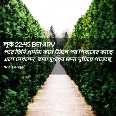 Picture 02 - লূক 22:45 BENIRV - পরে তিনি - Bible Verse Picture