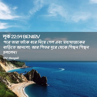 Picture 02 - লূক 22:54 BENIRV - পরে তারা তাঁকে ধরে - Bible Verse Picture