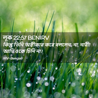 Picture 02 - লূক 22:57 BENIRV - কিন্তু তিনি - Bible Verse Picture
