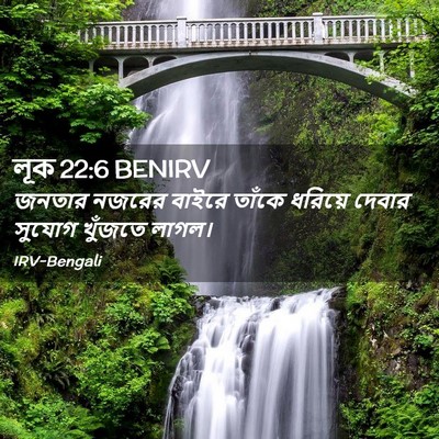 Picture 02 - লূক 22:6 BENIRV - জনতার নজরের বাইরে - Bible Verse Picture