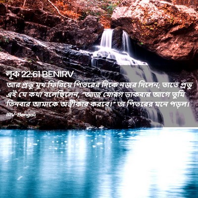 Picture 02 - লূক 22:61 BENIRV - আর প্রভু মুখ - Bible Verse Picture