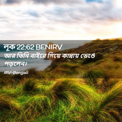Picture 02 - লূক 22:62 BENIRV - আর তিনি বাইরে - Bible Verse Picture