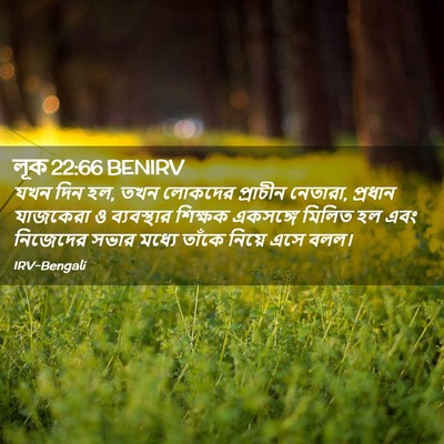 Picture 02 - লূক 22:66 BENIRV - যখন দিন হল, তখন - Bible Verse Picture