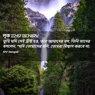 Picture 02 - লূক 22:67 BENIRV - তুমি যদি সেই - Bible Verse Picture