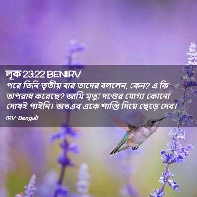 Picture 02 - লূক 23:22 BENIRV - পরে তিনি তৃতীয় - Bible Verse Picture