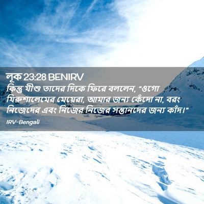 Picture 02 - লূক 23:28 BENIRV - কিন্তু যীশু তাদের - Bible Verse Picture