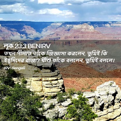 Picture 02 - লূক 23:3 BENIRV - তখন পীলাত তাঁকে - Bible Verse Picture